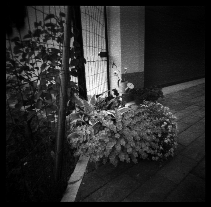 pinhole photograph