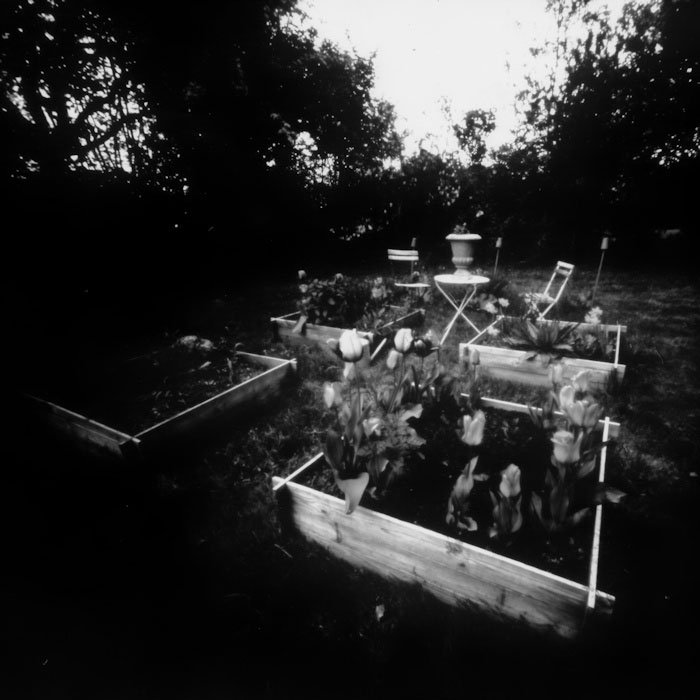 pinhole photograph