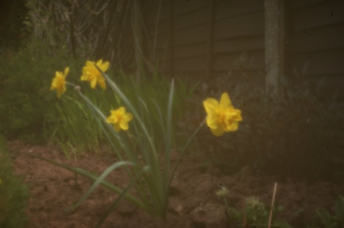 pinhole photograph