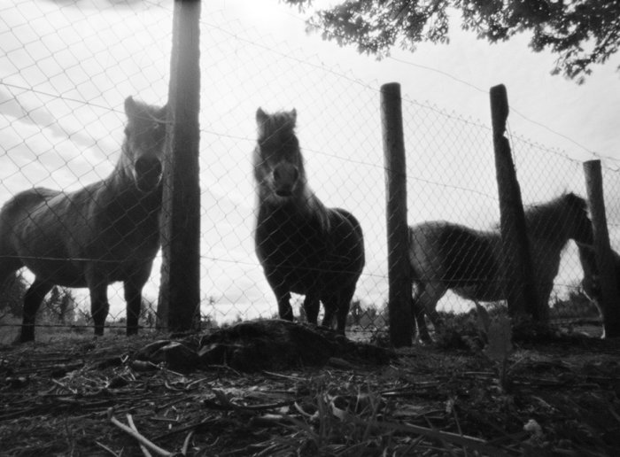 pinhole photograph