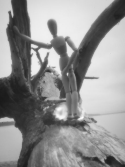 pinhole photograph