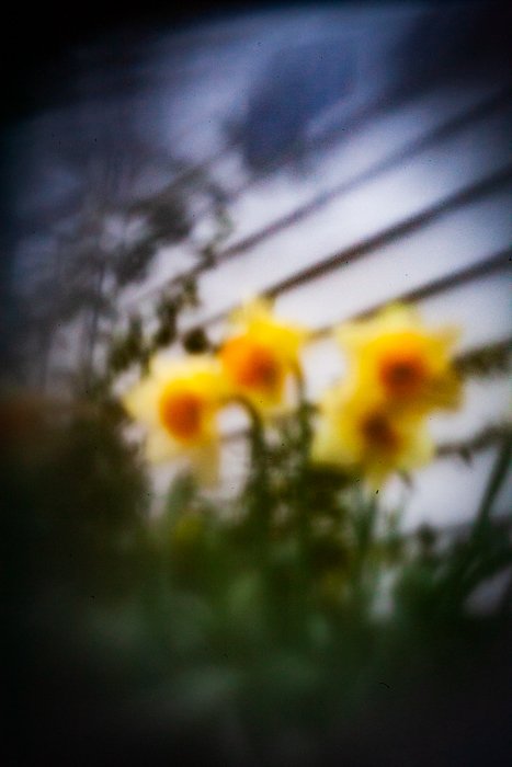 pinhole photograph