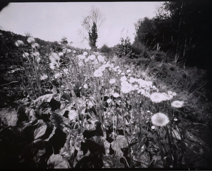 pinhole photograph