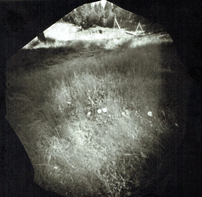 pinhole photograph