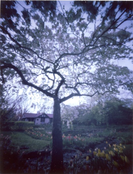 pinhole photograph