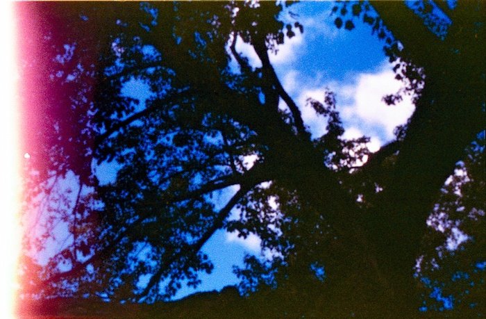 pinhole photograph