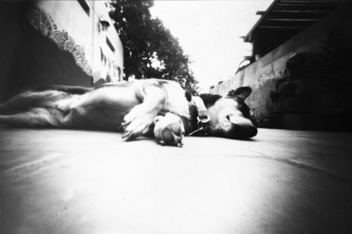 pinhole photograph