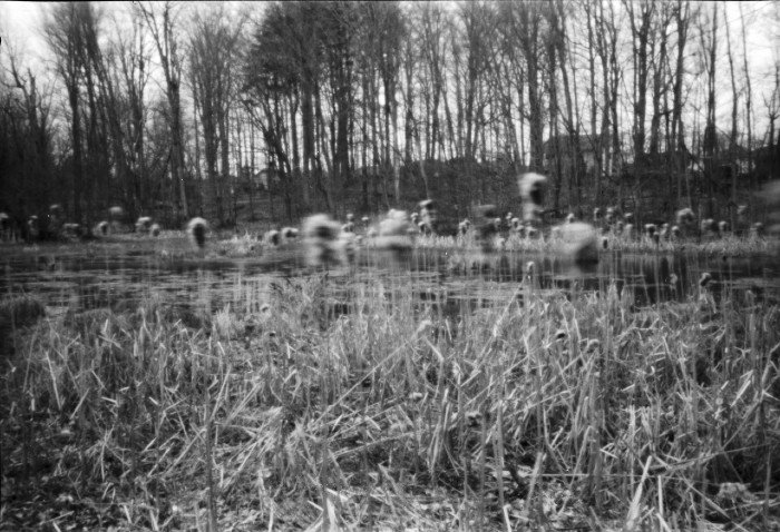 pinhole photograph