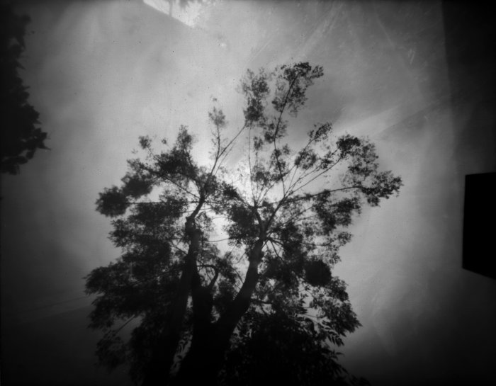 pinhole photograph