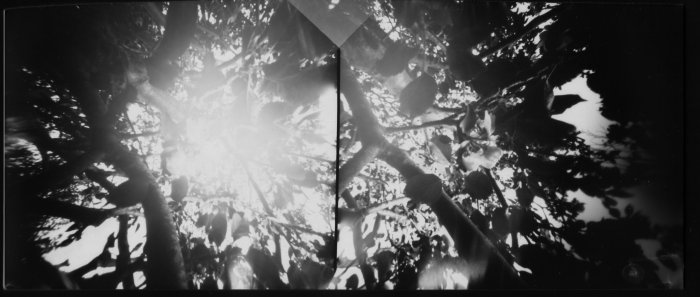 pinhole photograph