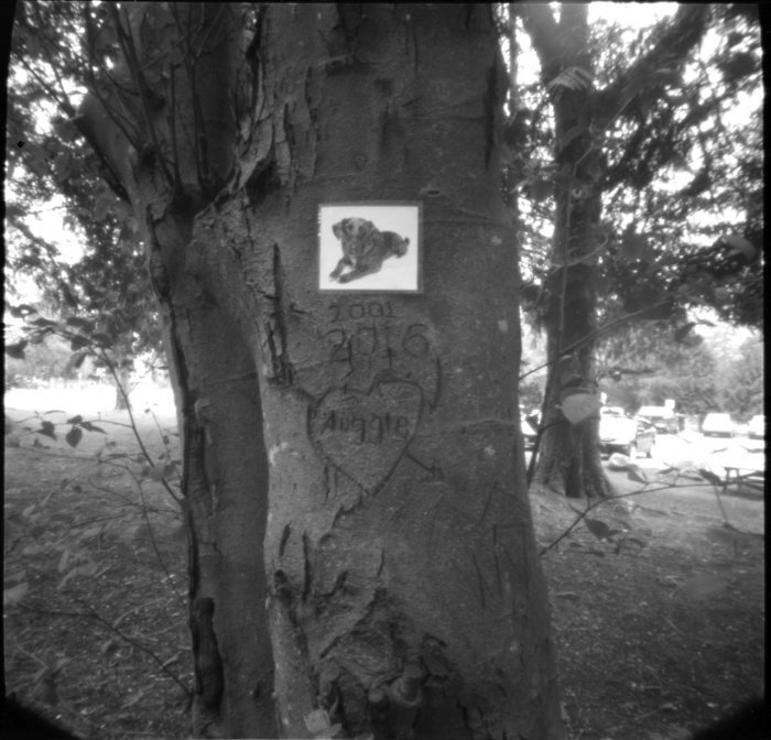 pinhole photograph