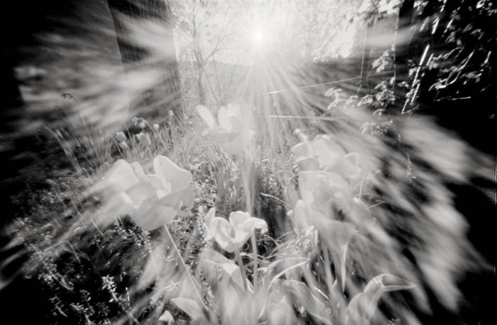 pinhole photograph