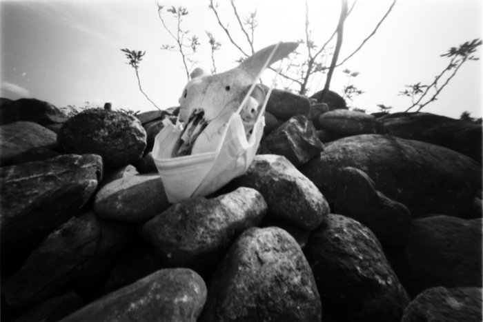 pinhole photograph