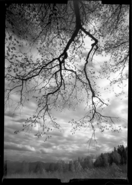 pinhole photograph