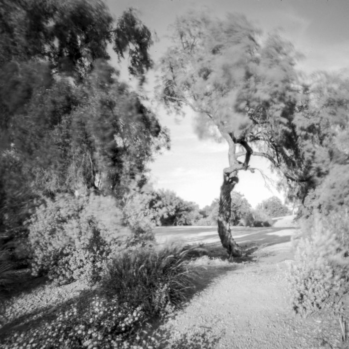 pinhole photograph