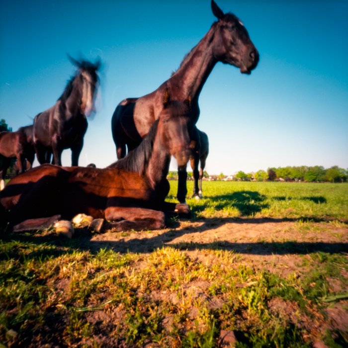 pinhole photograph