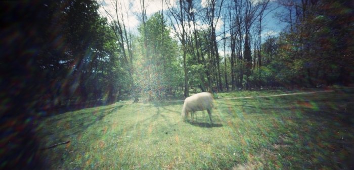 pinhole photograph