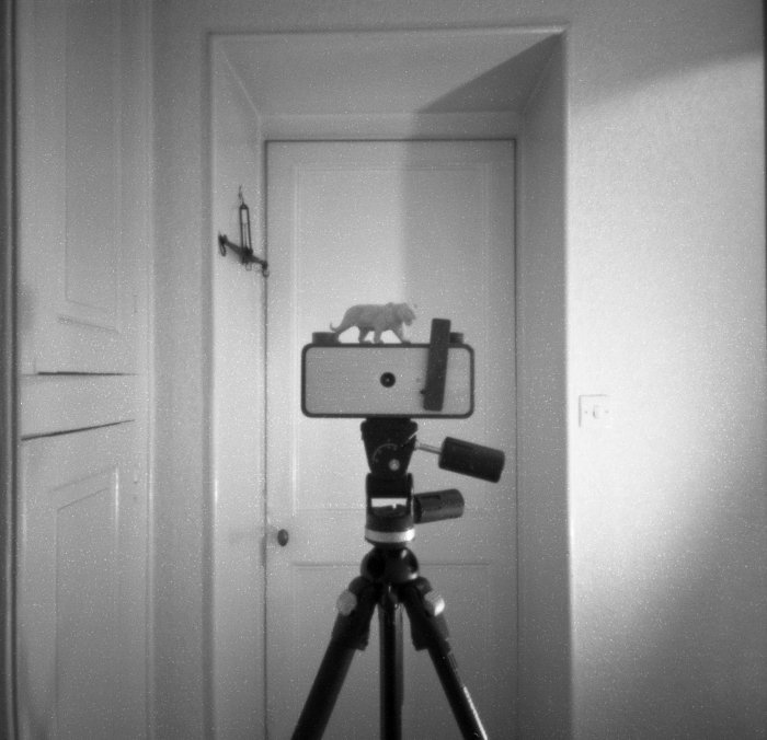 pinhole photograph
