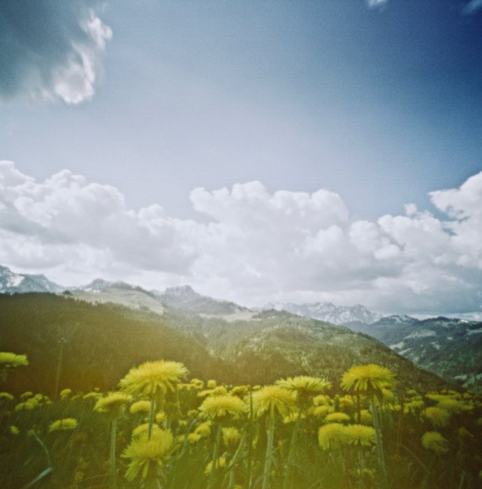 pinhole photograph