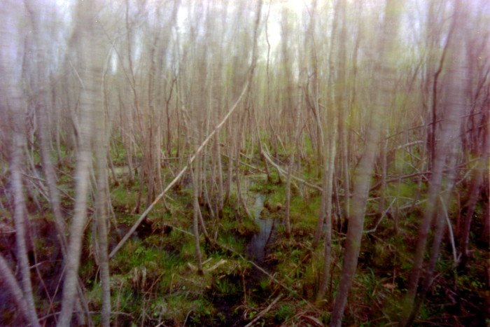 pinhole photograph