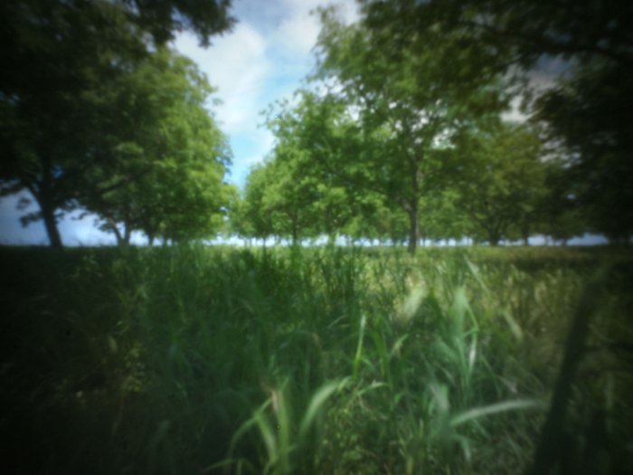 pinhole photograph
