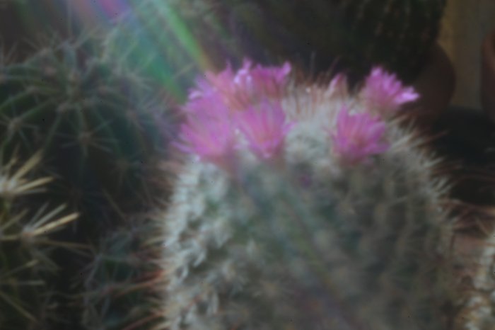 pinhole photograph