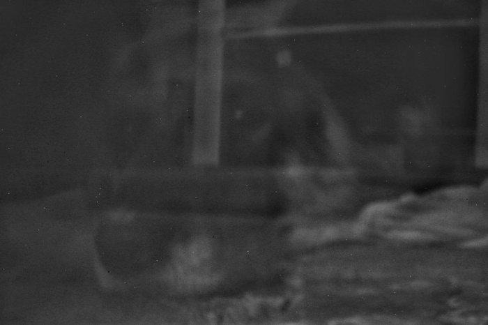 pinhole photograph