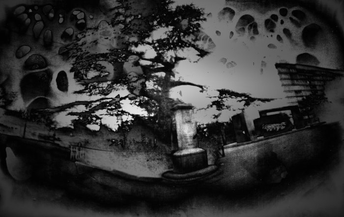 pinhole photograph