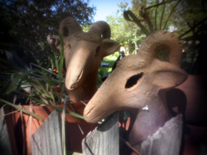 pinhole photograph