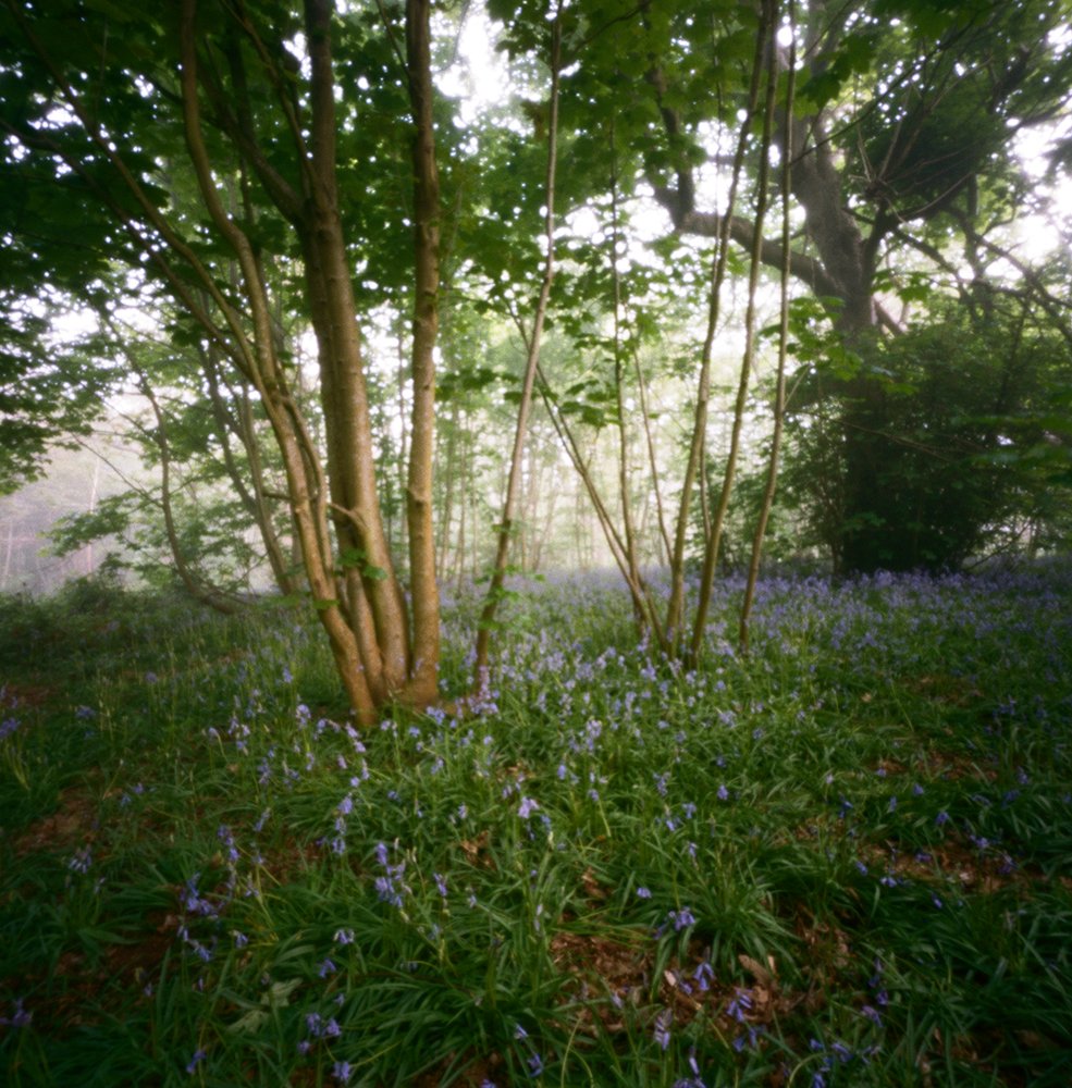 pinhole photograph