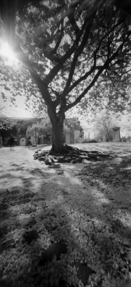 pinhole photograph