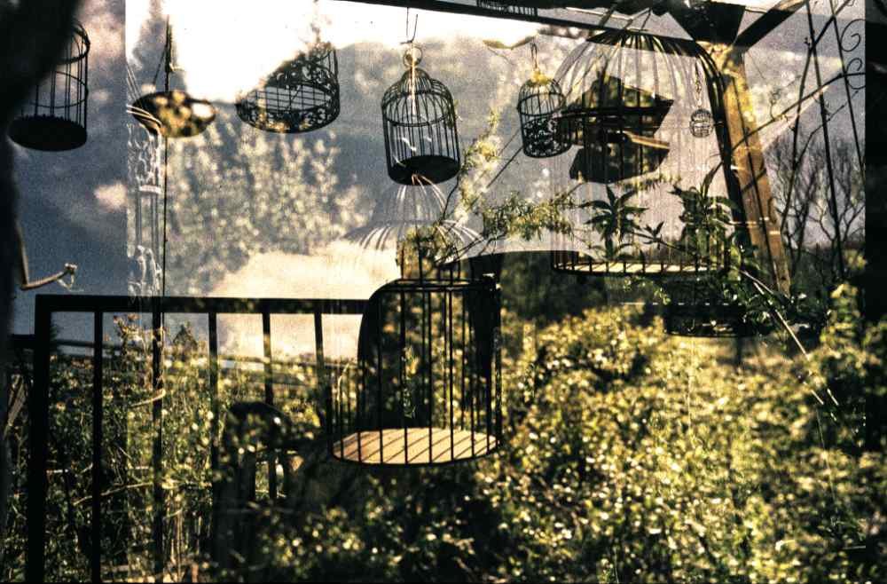 pinhole photograph