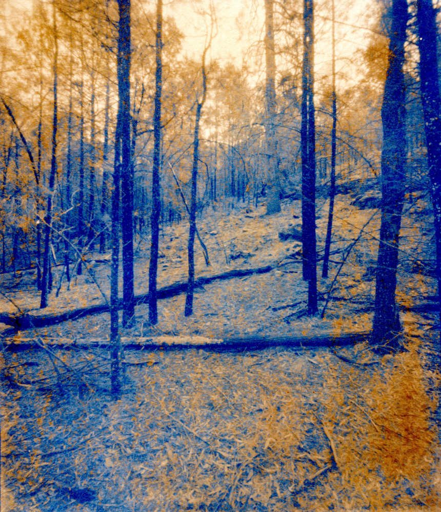 pinhole photograph