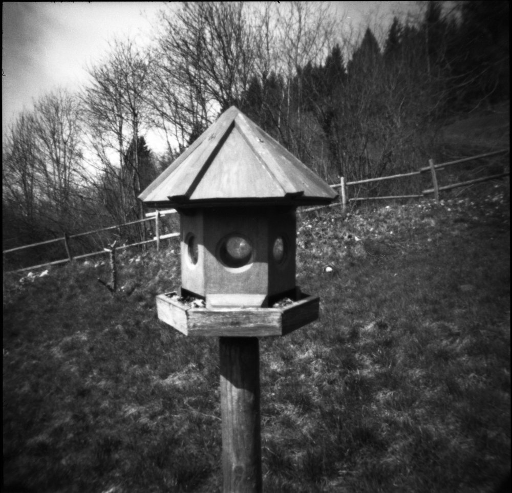 pinhole photograph