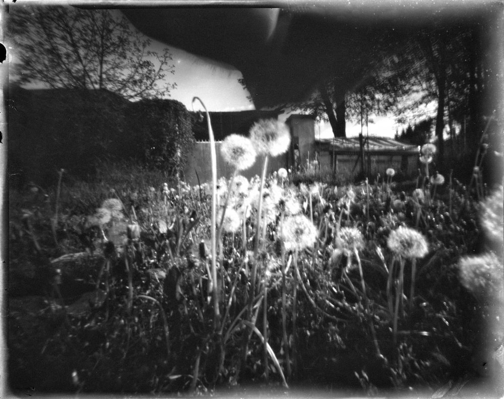 pinhole photograph
