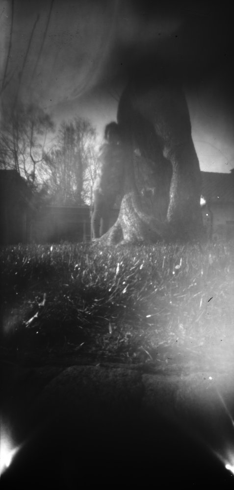 pinhole photograph