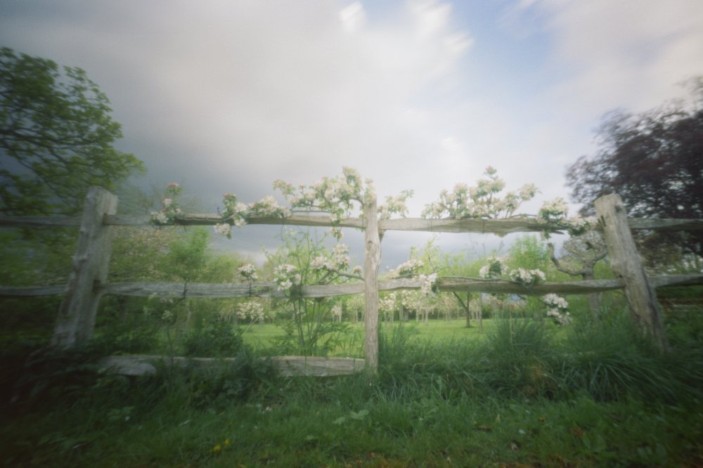 pinhole photograph