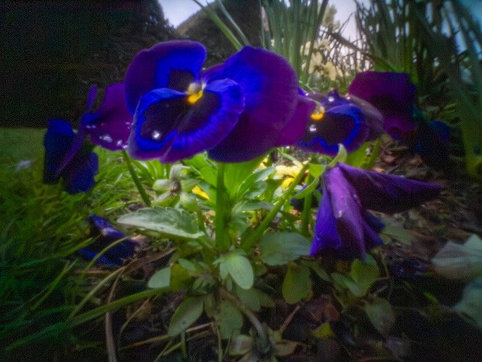 pinhole photograph
