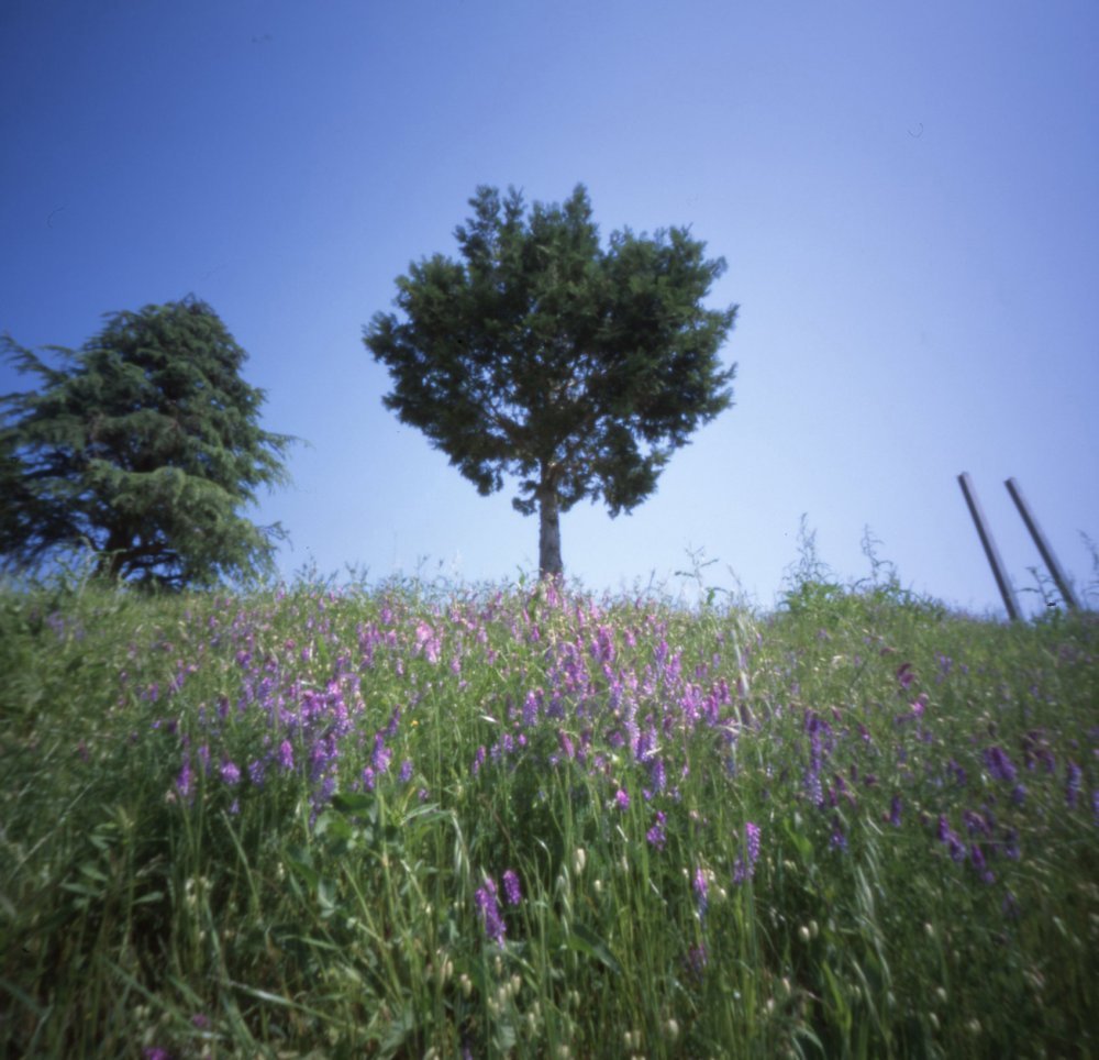 pinhole photograph