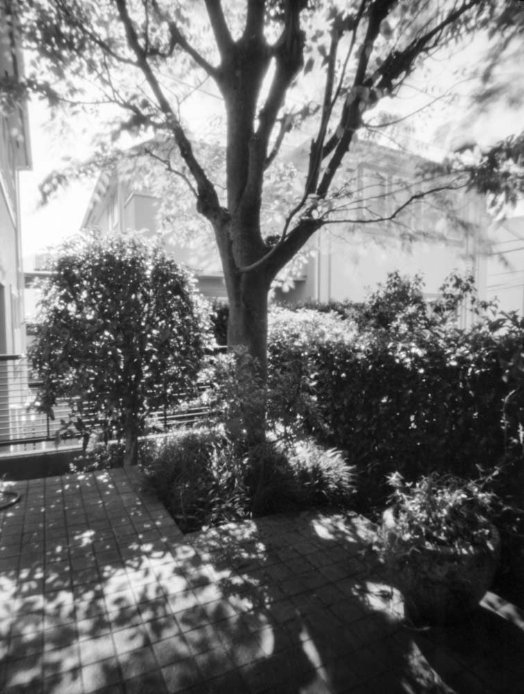 pinhole photograph