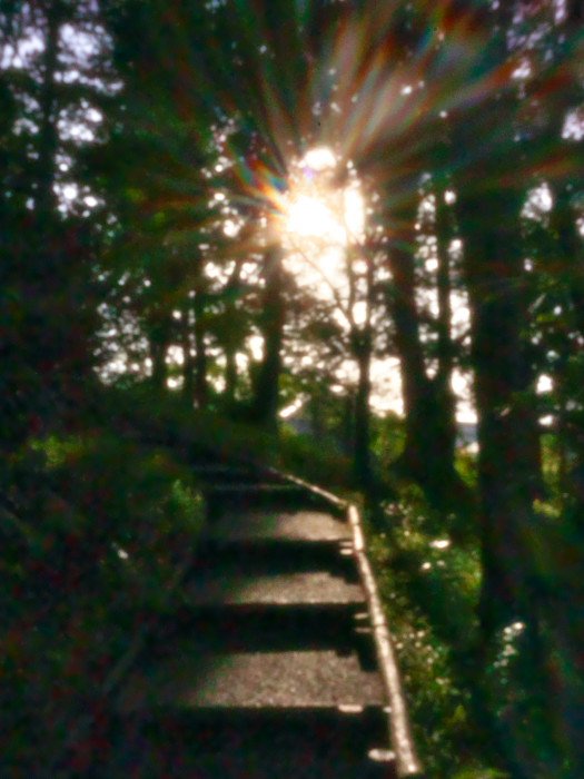 pinhole photograph