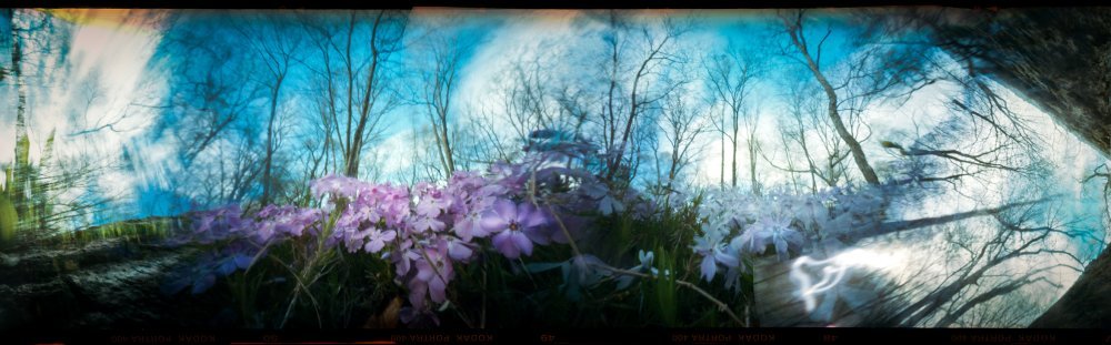 pinhole photograph