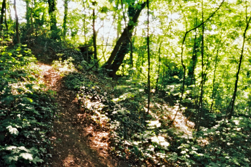 pinhole photograph