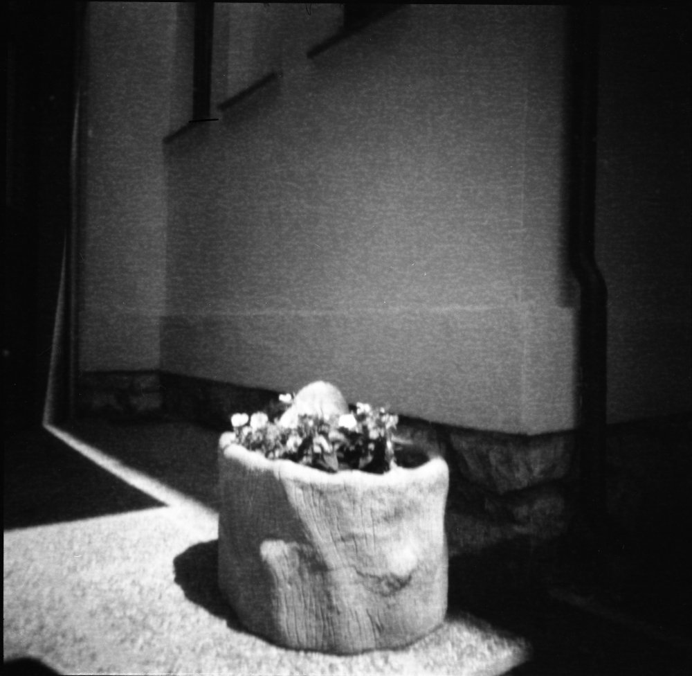 pinhole photograph