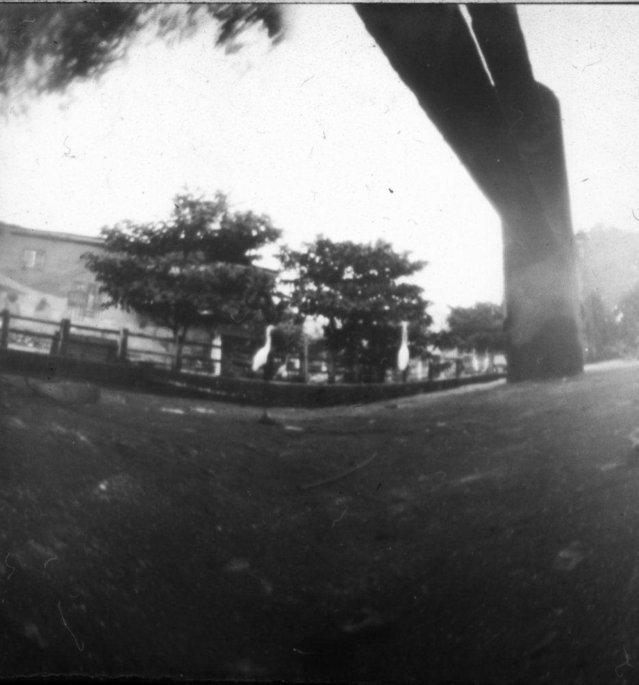pinhole photograph