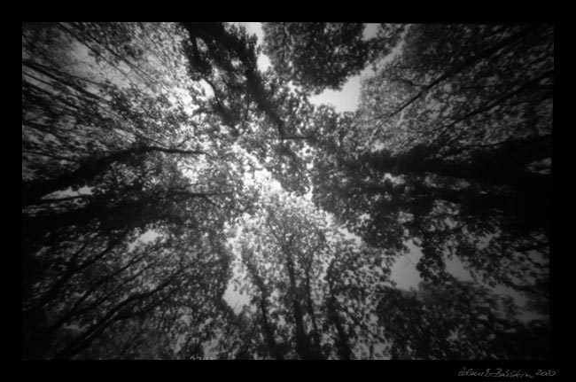 pinhole photograph