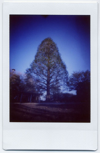 pinhole photograph