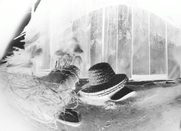 pinhole photograph