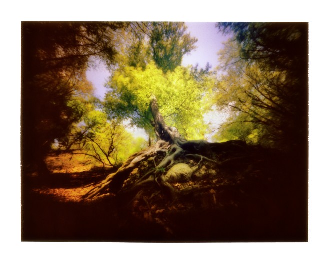 pinhole photograph