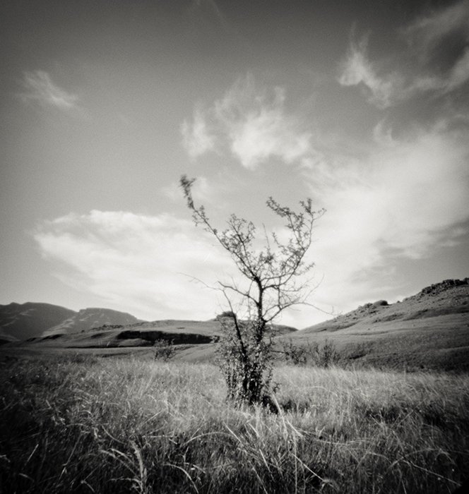 pinhole photograph